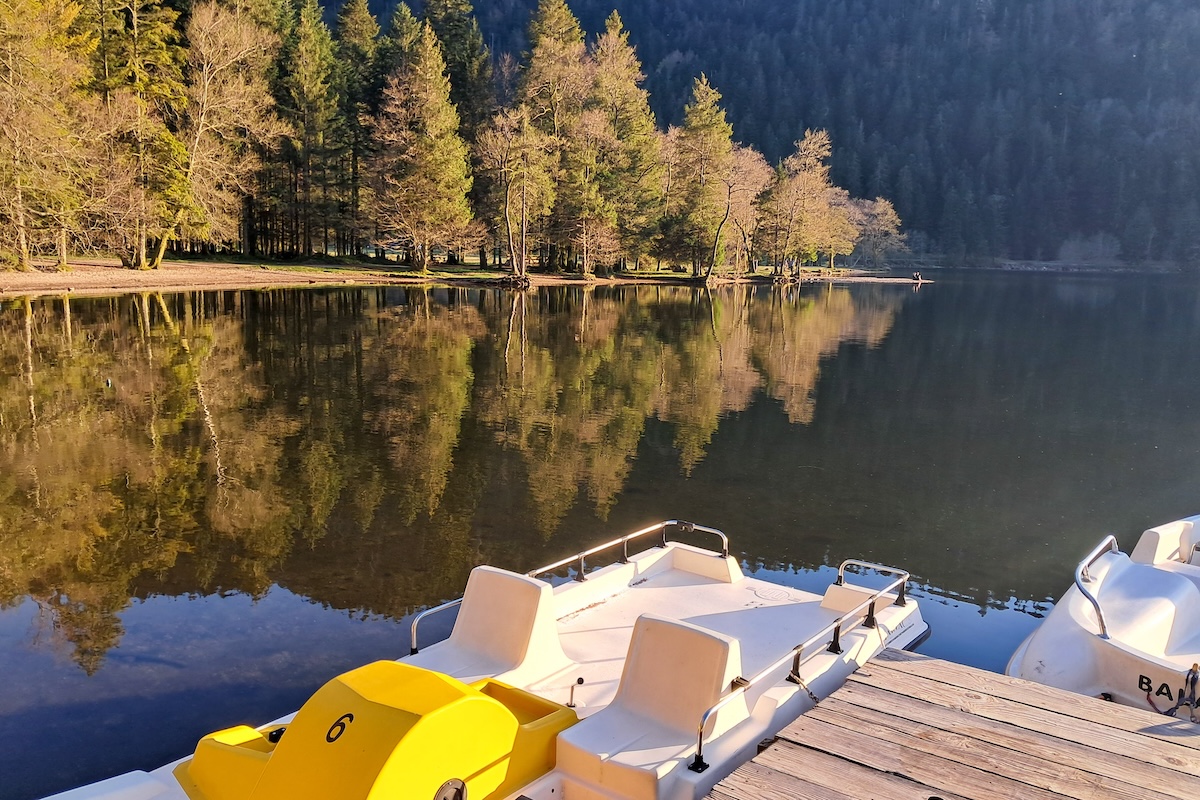 pedalo